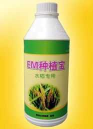 廣州以諾生物科技推出‘em種植寶’水稻專用產品，助力綠色農業發展