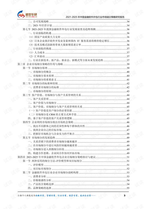 中國(guó)金融軟件外包行業(yè)市場(chǎng)細(xì)分策略研究（2021-2025）